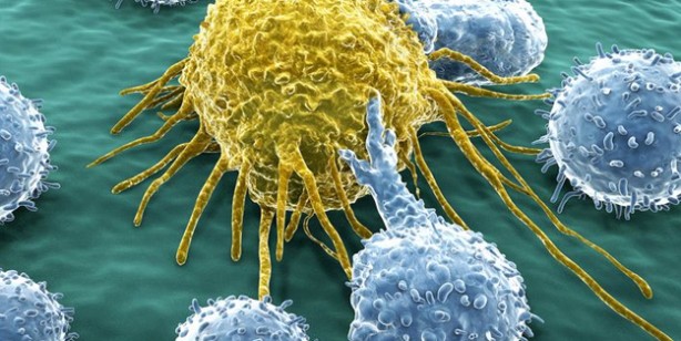 Foto - Kansere karşı koruyan en iyi 5 besin