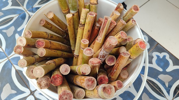 Foto - Kansere karşı koruyucu! Bardak bardak satılıyor