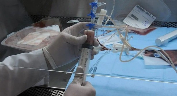 Foto - Kansere karşı yeni güç: 'Kişiye özel aşı' tedavisi!