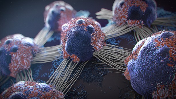 Foto - Kansere karşı yeni umut!