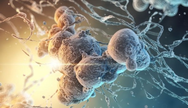 Foto - Kansere karşı yeni umut!