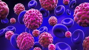 Foto - Kansere tutulma tehlikesini artırıyor: Vücudu savunma yerine aksine donmuş besin zehir saçıyor! 