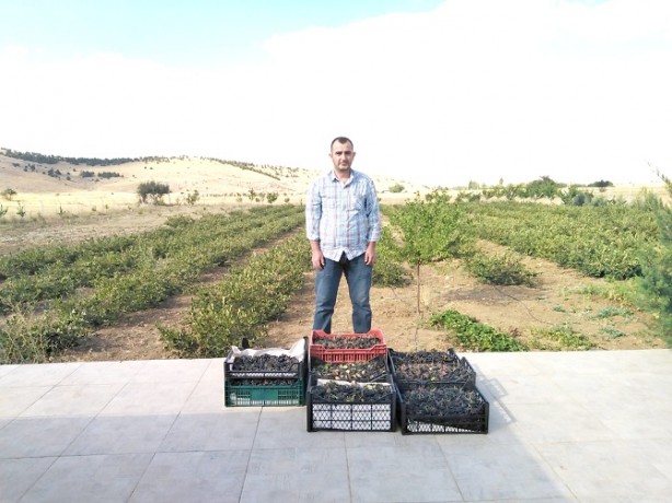 Foto - Kansere yakalanan eşi için yurt dışından getirtti, iyileşince ticaretine başladı! Kilosu 380 TL, talebe yetişemiyor