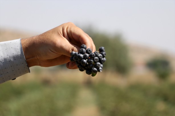 Foto - Kansere yakalanan eşi için yurt dışından getirtti, iyileşince ticaretine başladı! Kilosu 380 TL, talebe yetişemiyor
