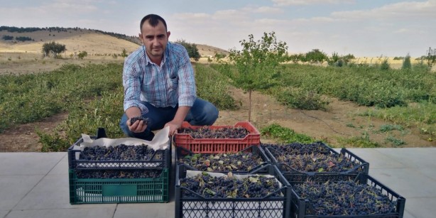 Foto - Kansere yakalanan eşi için yurt dışından getirtti, iyileşince ticaretine başladı! Kilosu 380 TL, talebe yetişemiyor