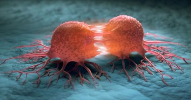 Foto - Kansere karşı umut olacak! Sonuçlar açıklandı