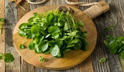 Foto - Kanseri önlediği kanıtlandı! 2 ay boyunca tüketirseniz vücutta sağlıksız hücre bırakmıyor