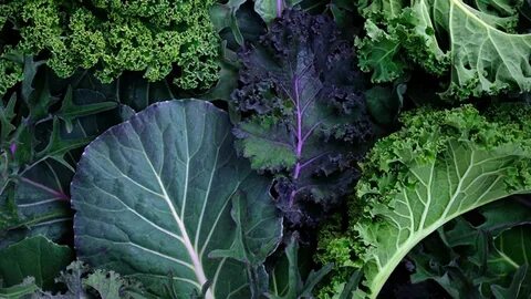 Foto - Kanseri önlediği kanıtlandı! 2 ay boyunca tüketirseniz vücutta sağlıksız hücre bırakmıyor