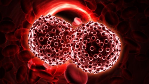 Foto - Kanseri önleyen 5 şifa dolu gıda