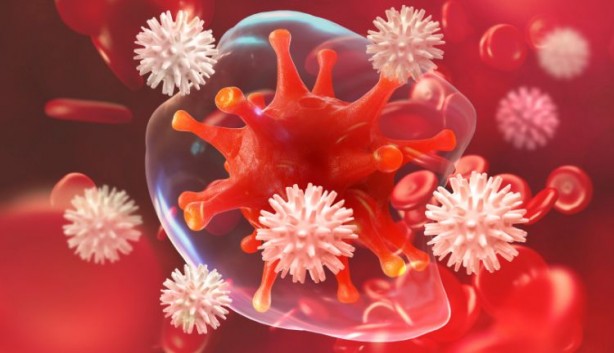 Foto - Kanseri önleyen 5 şifa dolu gıda