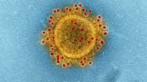 Foto - Kanseri önlüyor ve 3 ayda kanser hücrelerini öldürüyor! Çinli isimlerden tavsiye: neler, nasıl olacak? Satın aldıkları ürünler