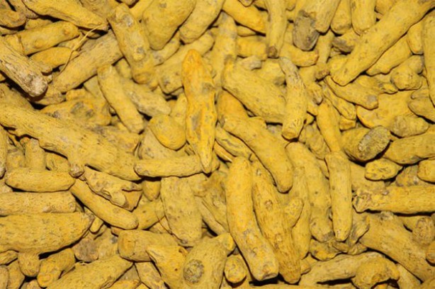 Foto - Kanserle savaşıyorlar