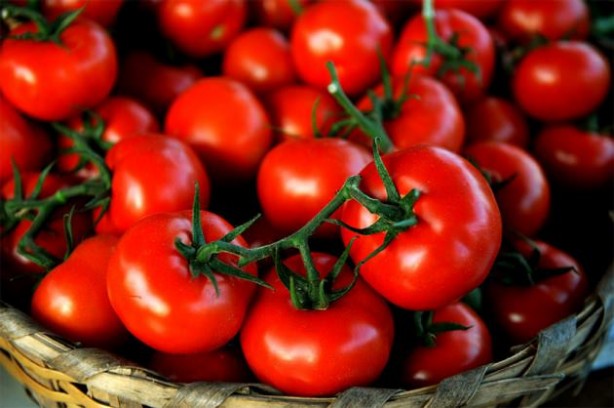 Foto - Kanserle savaşıyorlar