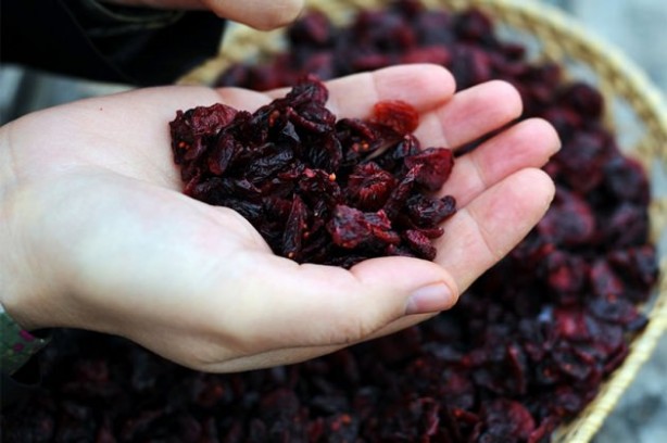 Foto - Kanserle savaşıyorlar