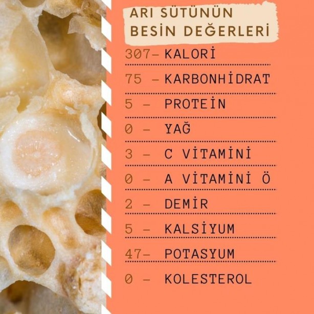 Foto - Kanserli hücrelere savaş açıyor! 'Kraliyet besini' hücrelerin DNA yapısını yeniliyor