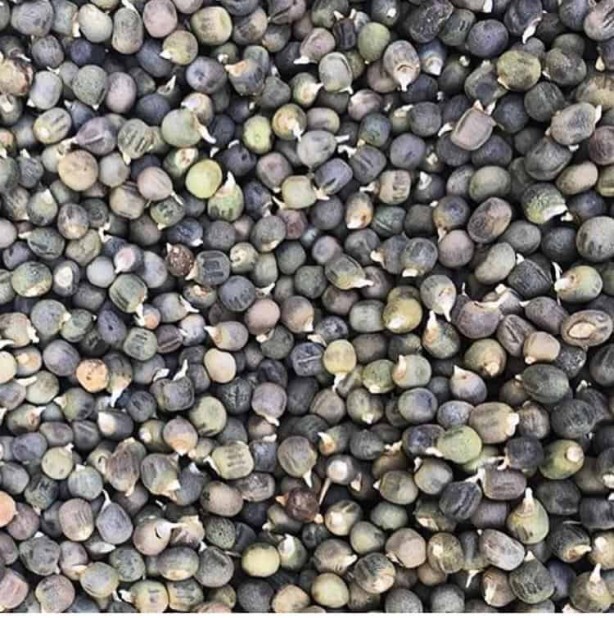 Foto - Kanserli hücreleri yok ediyor! 1 kaşık eklemek yeterli