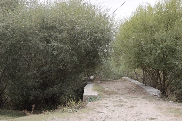 Foto - Kanuni'nin Rodos seferine gittiği yol! Tarihi köprünün son hali üzdü