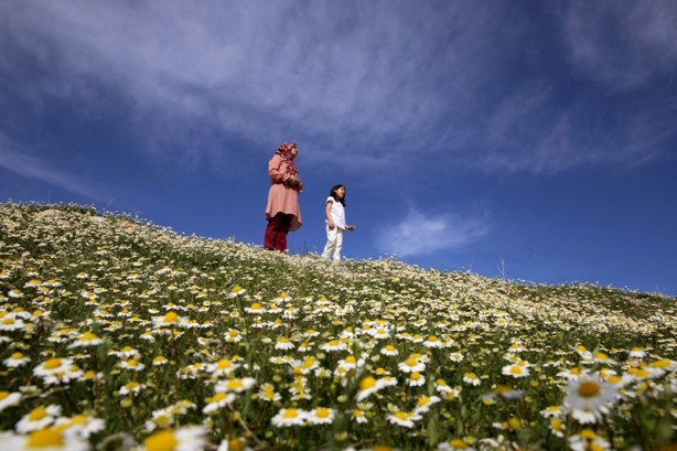Kapadokya'da ilkbahar güzelliği