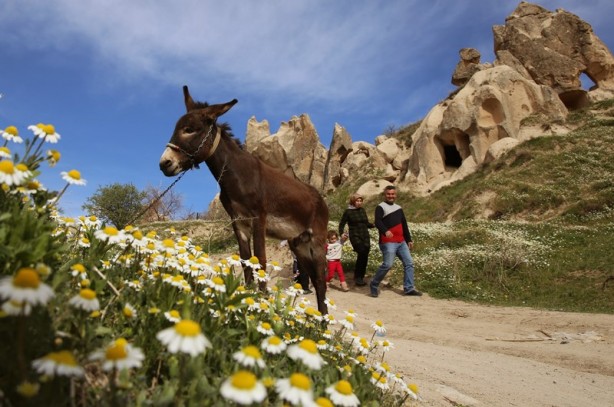 Foto - Kapadokya'da ilkbahar güzelliği