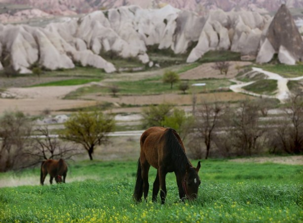 Foto - Kapadokya'da ilkbahar güzelliği