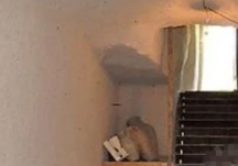 Foto - Kapadokya yakınlarında tepki çeken görüntü