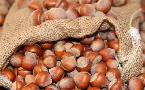 Foto - Kapımızda kuyruk olmayan ülke kalmadı! Son 3 ayda onun sayesinde Türkiye’ye kamyon kamyon dolar girdi 