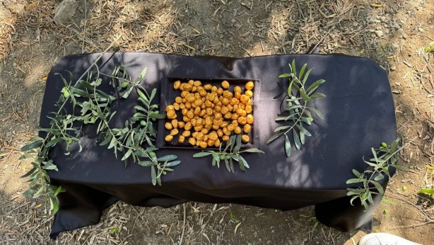 Foto - Kapış kapış alıyorlar! Sonunda altın kaplamalı zeytin de çıktı