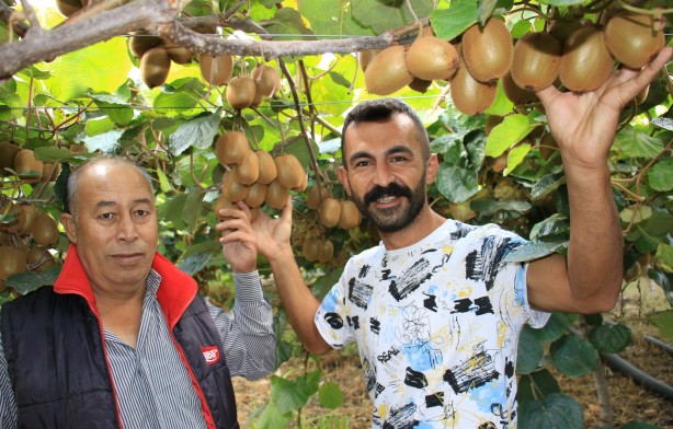 Foto - Kapış kapış gidiyor! Bu meyveye sadece yüzde 20 zam geldi