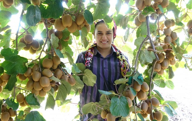 Foto - Kapış kapış gidiyor! Bu meyveye sadece yüzde 20 zam geldi