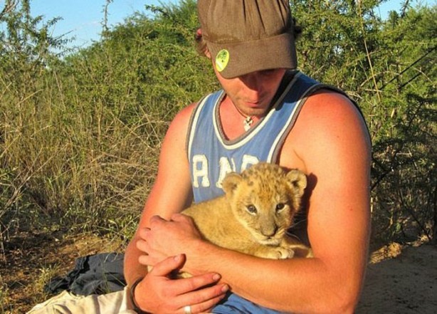 Foto - Kaplanlar bir anda saldırınca...