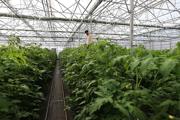 Foto - Kaplıcalarıyla ünlü şehirden ihracat başarısı