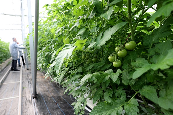 Foto - Kaplıcalarıyla ünlü şehirden ihracat başarısı