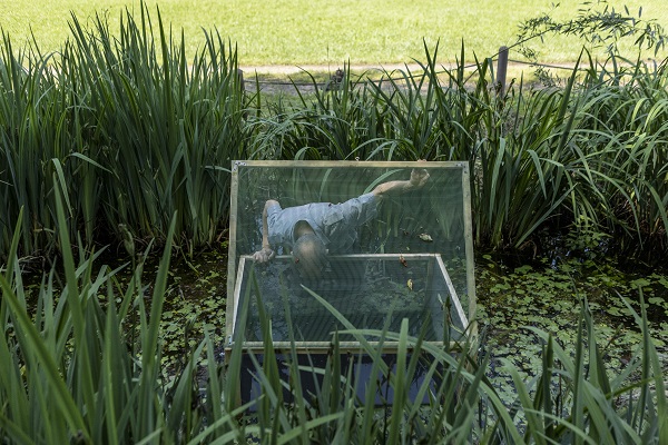 Foto - Kaplumbağalar ısınmak için bakın ne yaptı