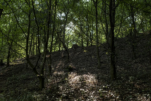 Foto - Kaplumbağalar ısınmak için bakın ne yaptı