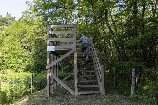 Foto - Kaplumbağalar ısınmak için bakın ne yaptı