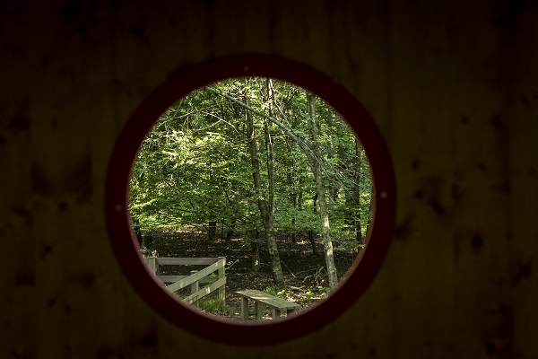 Foto - Kaplumbağalar ısınmak için bakın ne yaptı