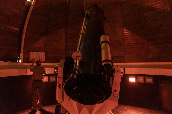 Foto - Kaplumbağalar ısınmak için bakın ne yaptı