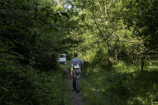 Foto - Kaplumbağalar ısınmak için bakın ne yaptı