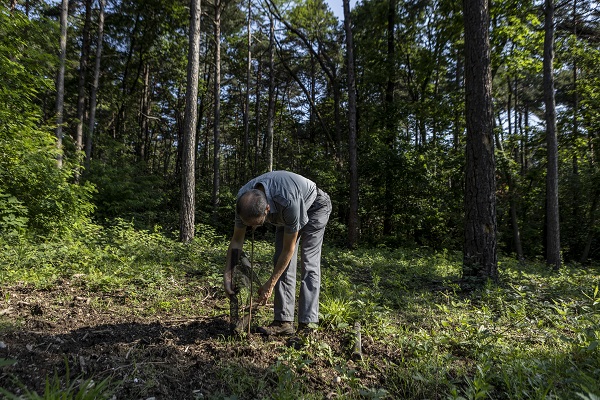Foto - Kaplumbağalar ısınmak için bakın ne yaptı