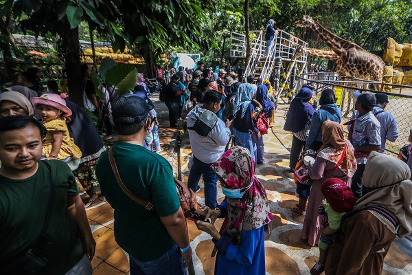 Foto - Kaplumbağaları izlemek için akın akın geliyorlar