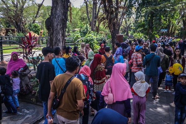 Foto - Kaplumbağaları izlemek için akın akın geliyorlar