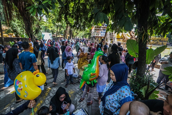Foto - Kaplumbağaları izlemek için akın akın geliyorlar