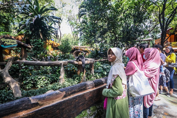 Foto - Kaplumbağaları izlemek için akın akın geliyorlar