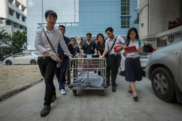 Foto - Kaplumbağanın midesinden çıkanlar şok etti!