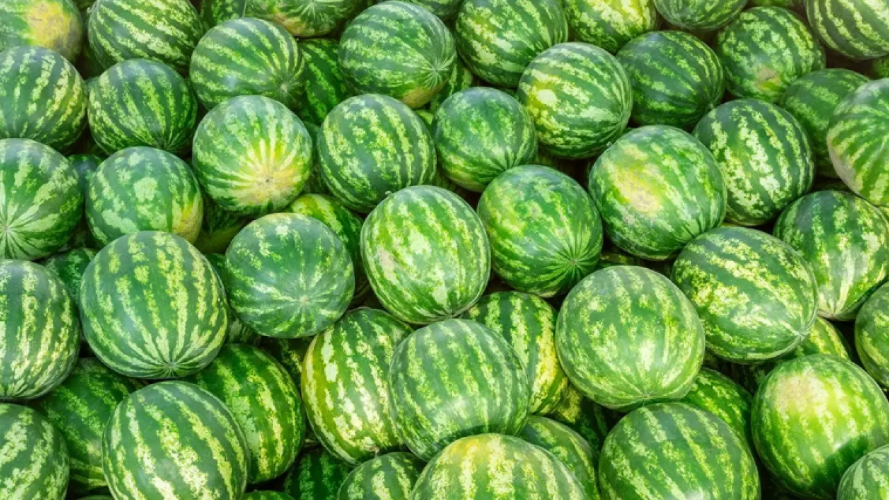 Karpuz seçerken 2 kez düşünün: İçinde bu varsa zehirleyebilir!