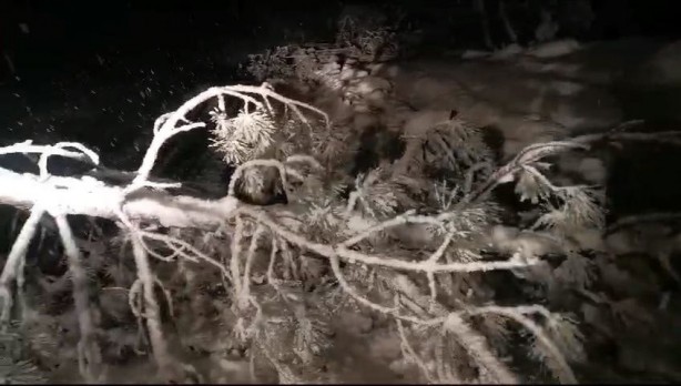 Foto - Kar 50 cm oldu... Muhtardan efsane hareket