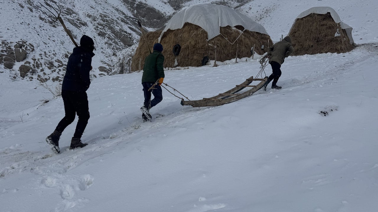 Kar, kış, soğuk! Yüksekova’da besicilerin zorlu mesaisi