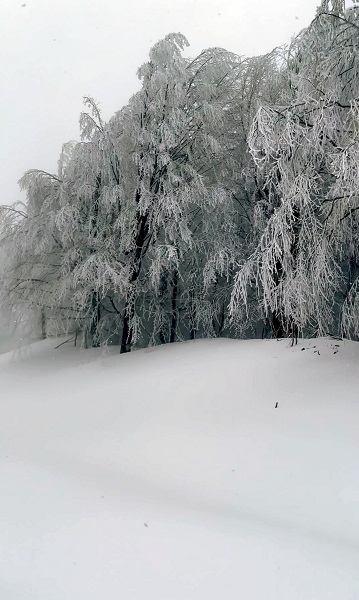 Foto - Kar manzarası hayran bıraktı