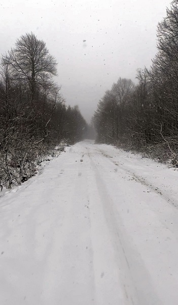 Foto - Kar manzarası hayran bıraktı