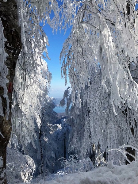 Foto - Kar manzarası hayran bıraktı
